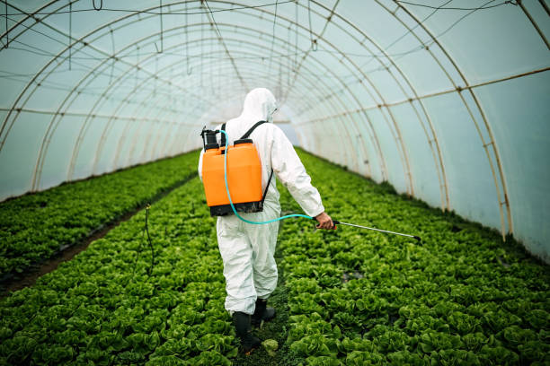 Best Commercial Pest Control Services  in Exander City, AL