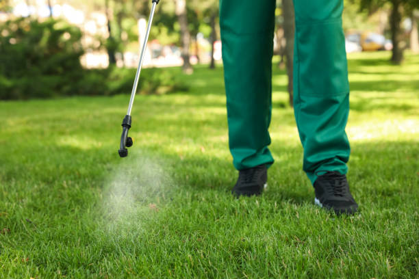 Insect Control in Alexander City, AL