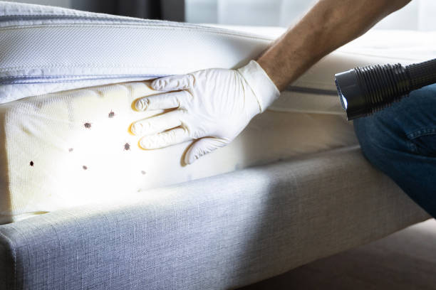 Best Cockroach Control Services  in Exander City, AL