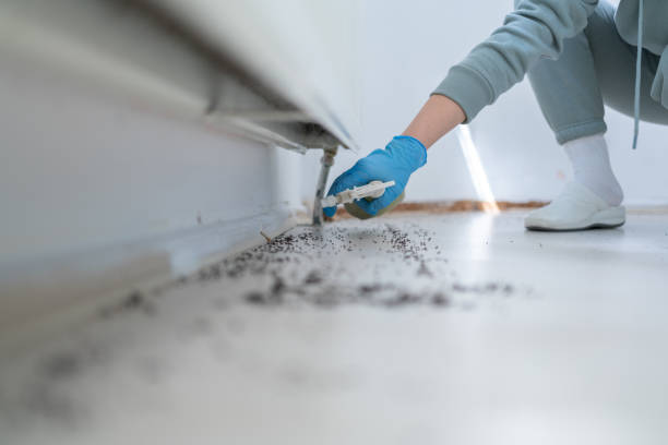 Best Residential Pest Control  in Exander City, AL